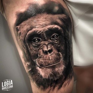 tatuaje_brazo_chimpance_logia_barcelona_douglas_prudente 